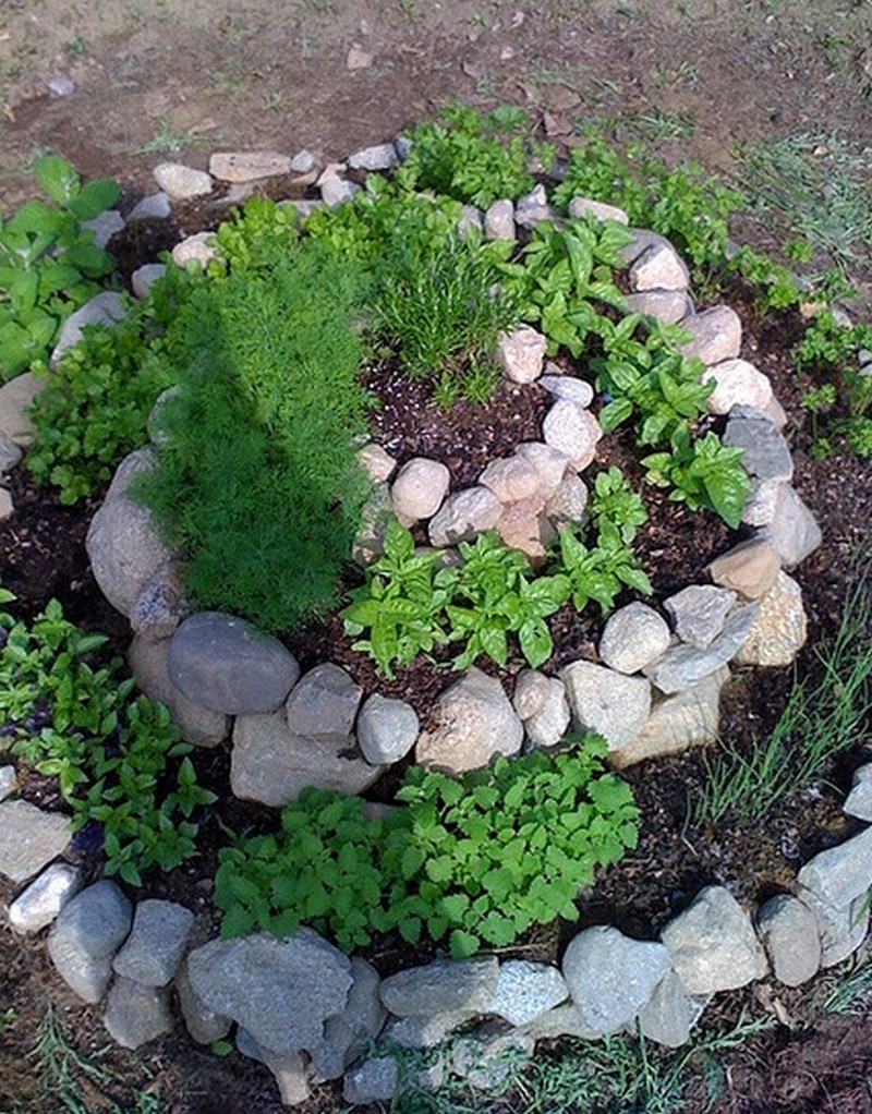  Herb Spiral 