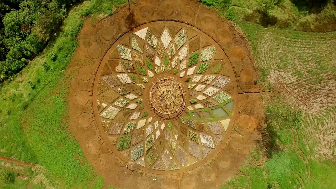  Mandala Orchand 