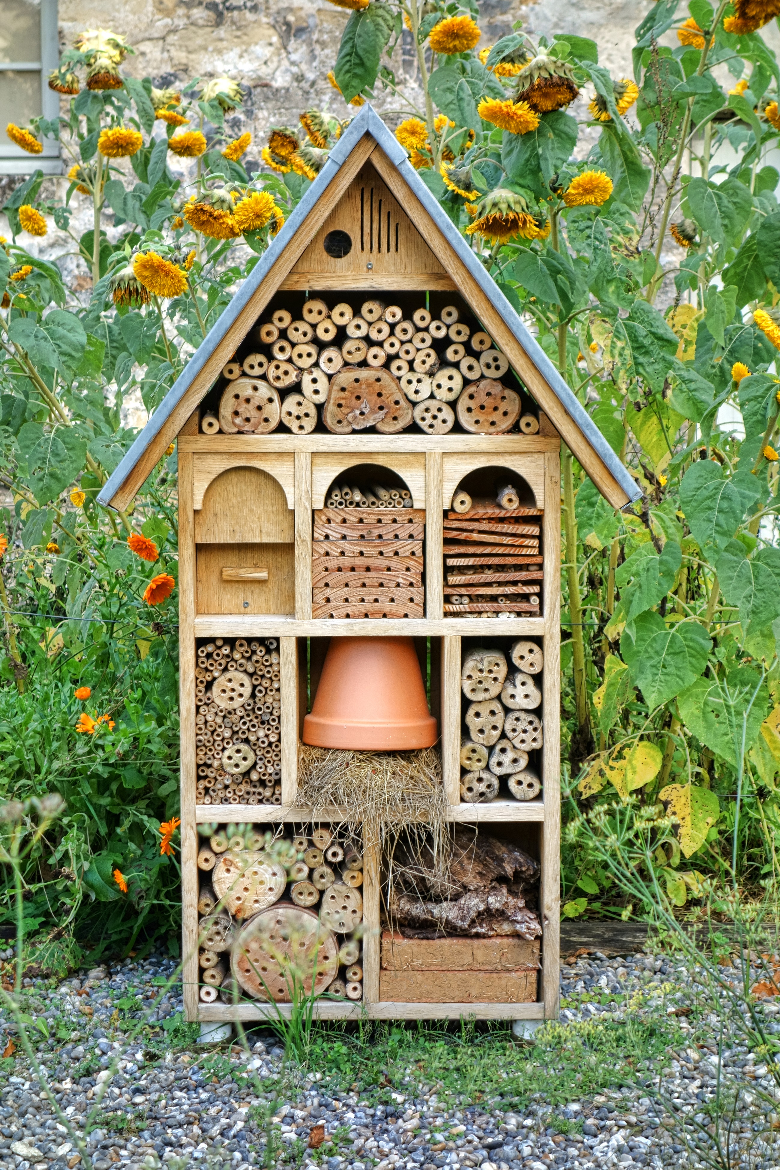  Insect Hotel 