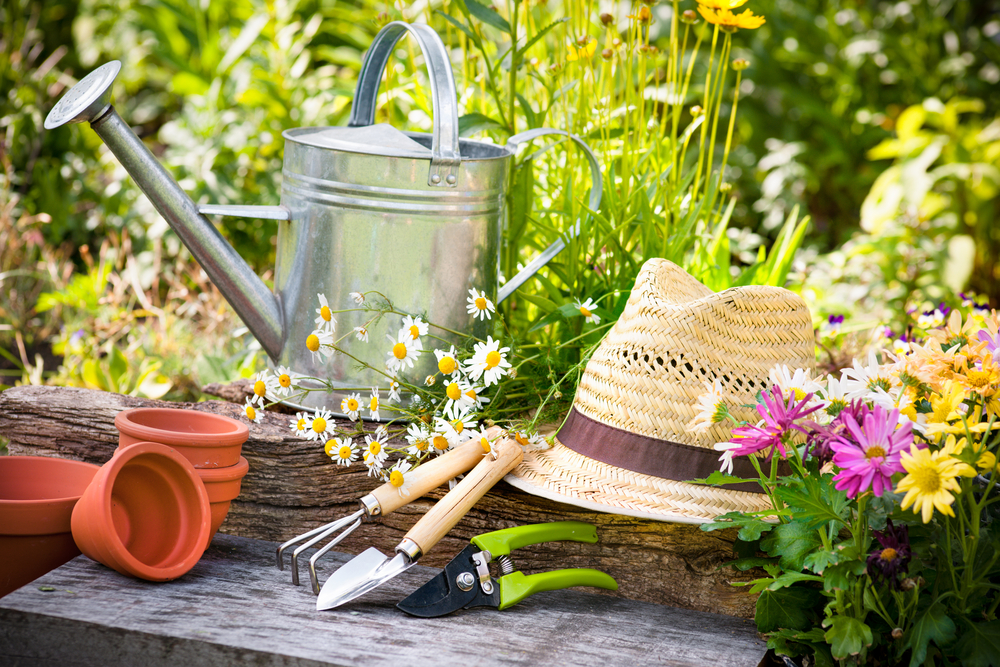  Gardening 