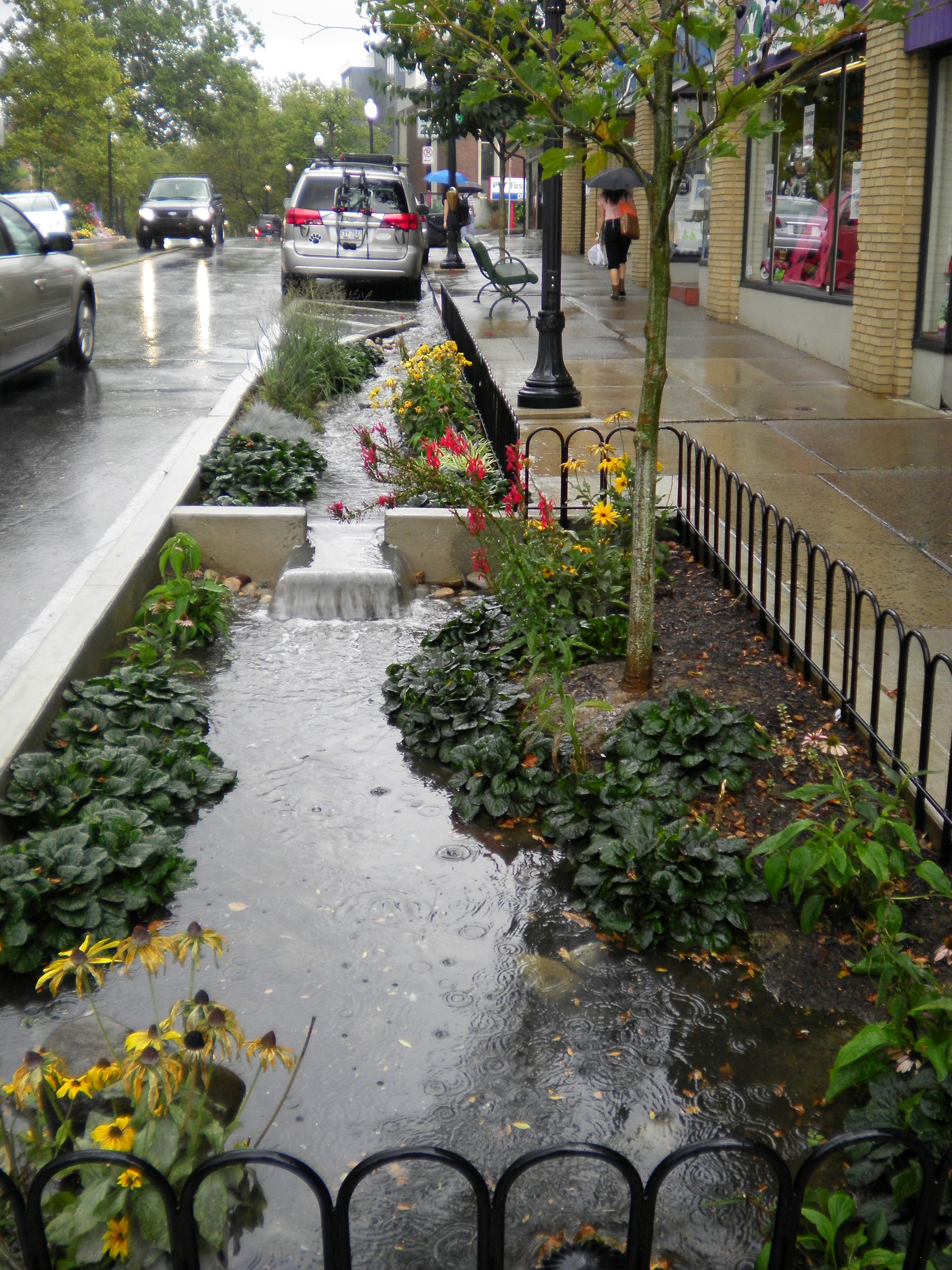  Rain Gardens 